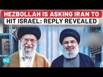 HEZBOLLAH IS ASKING IRAN TO HIT ISRAEL: REPLY REVEALED